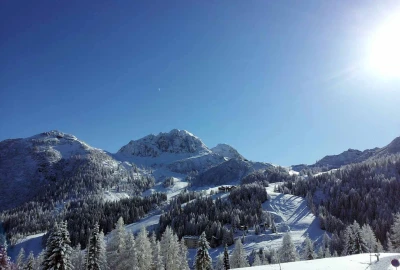 bildergalerie image 4