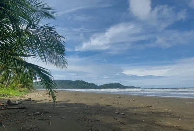 bildergalerie image 1