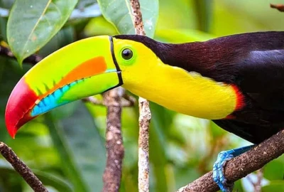 bildergalerie image 4