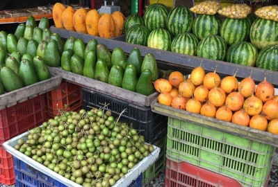 bildergalerie image 2