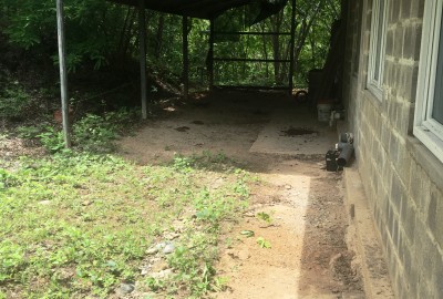 bildergalerie image 1