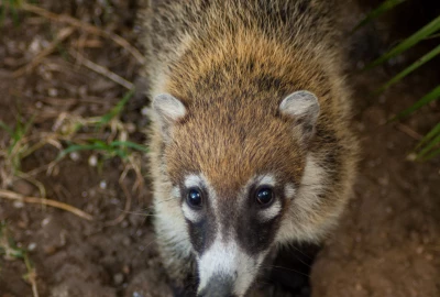 bildergalerie image 7