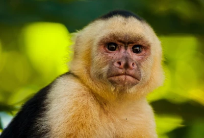 bildergalerie image 10